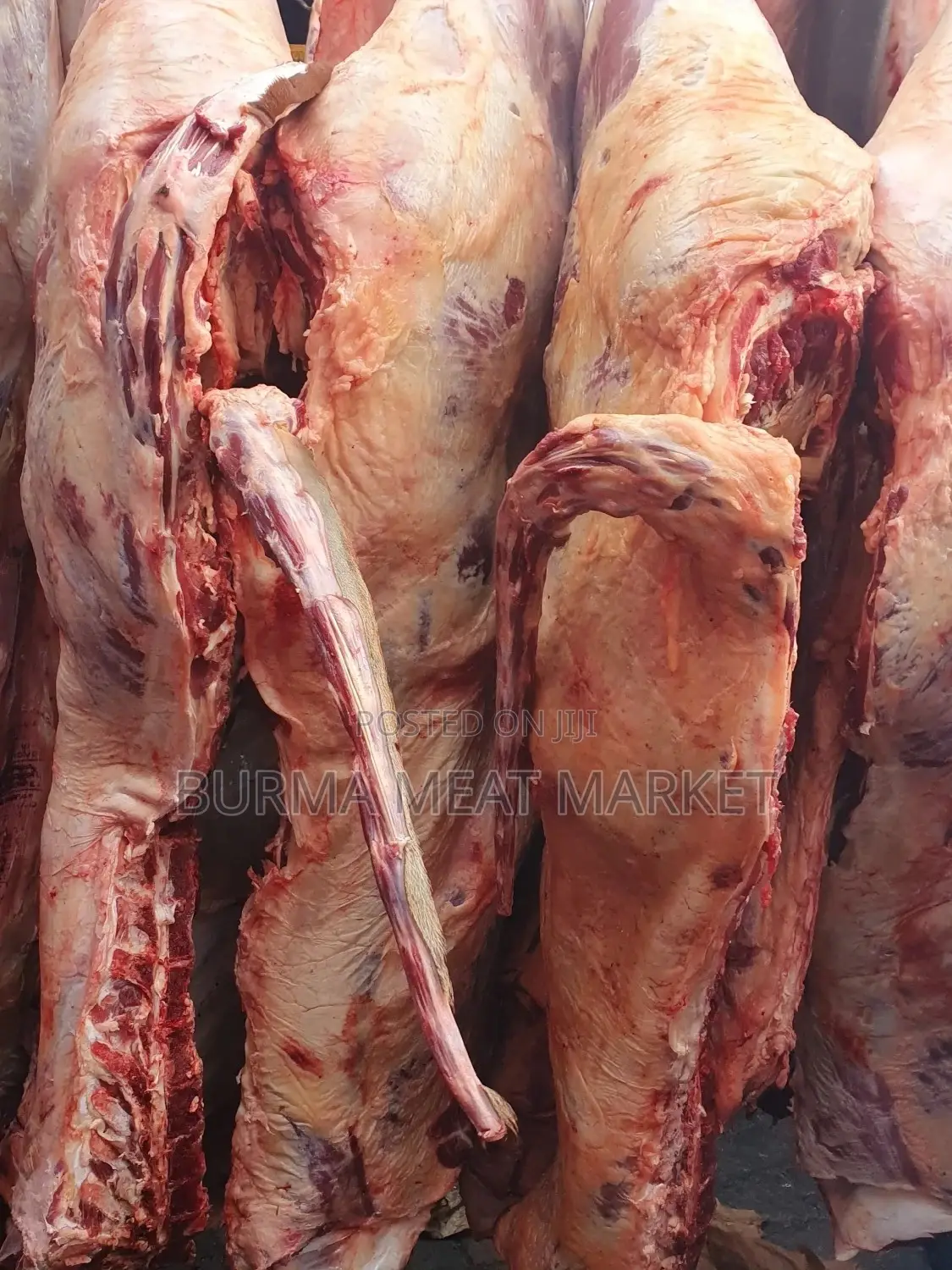 Wholesale Quality Beef