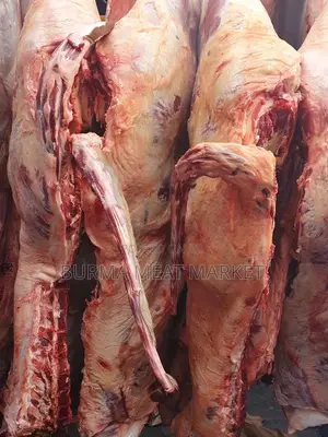 Wholesale Quality Beef