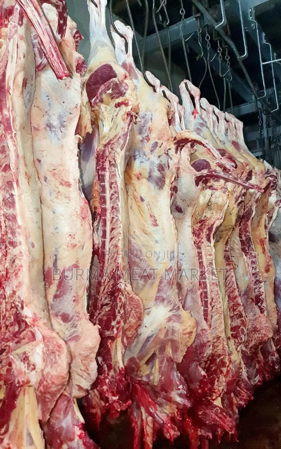 Wholesale Quality Beef