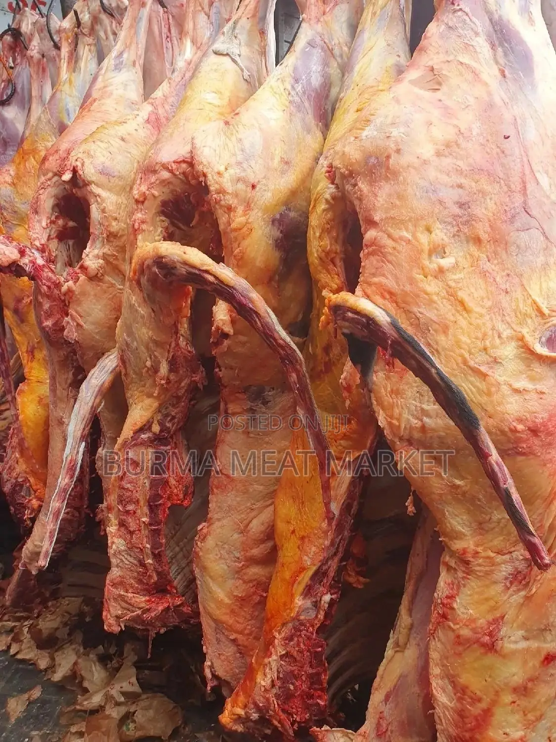 Wholesale Quality Beef