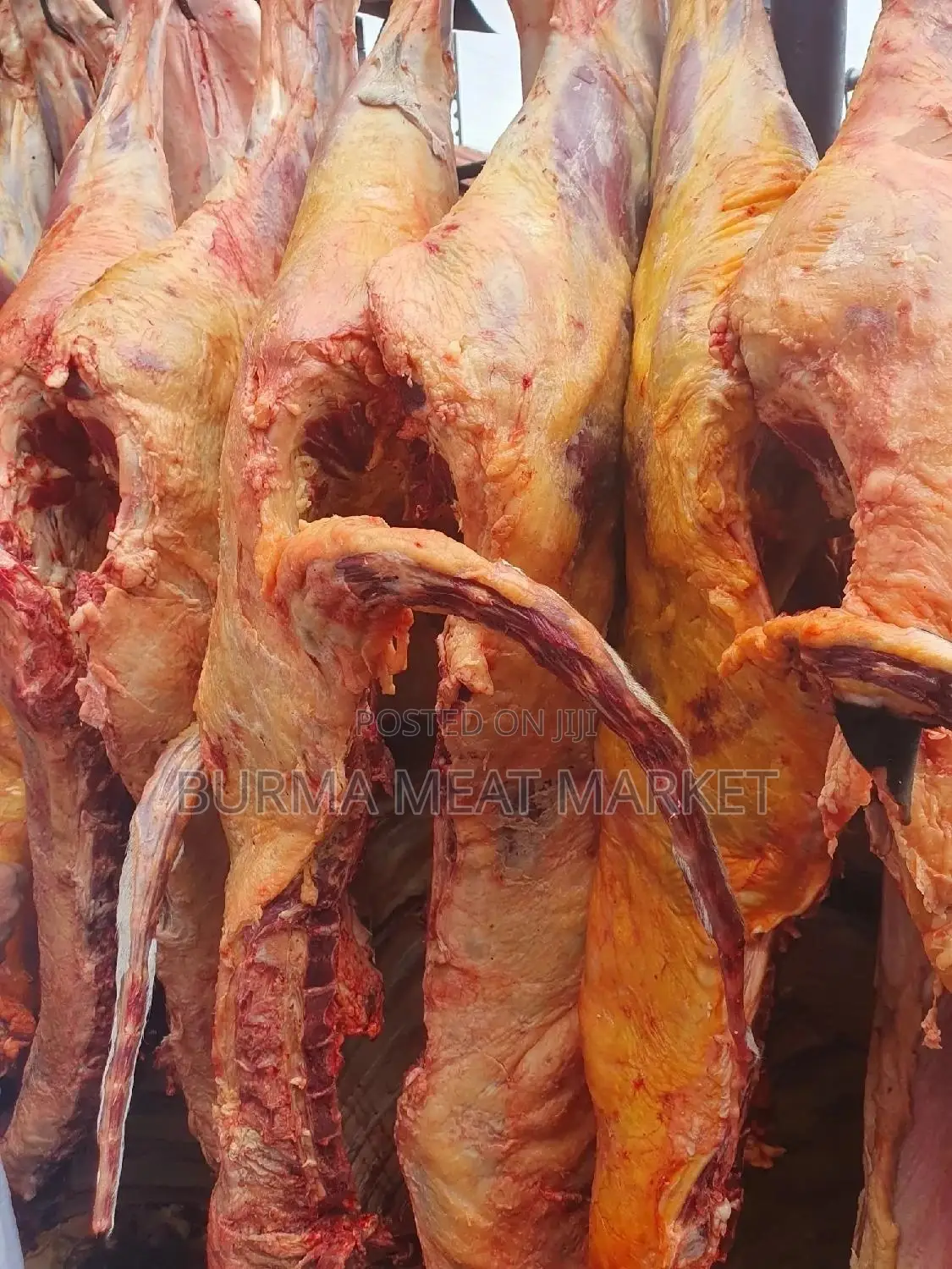 Wholesale Quality Beef