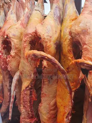 Wholesale Quality Beef