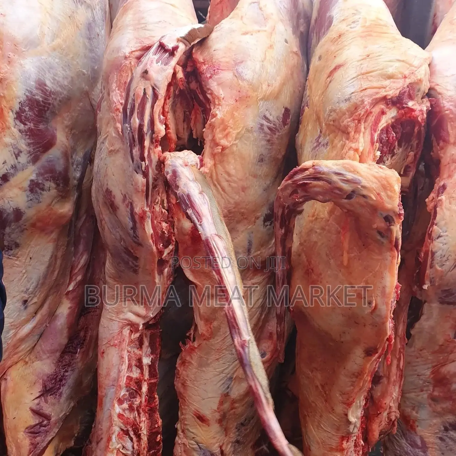 Wholesale Quality Beef