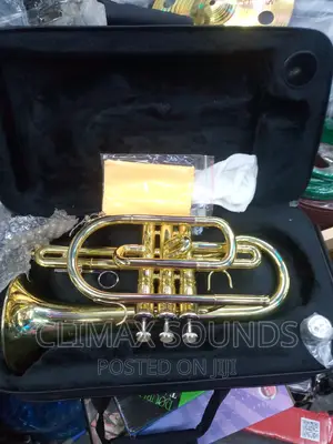 Cornet Suzukis
