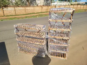 Shoe Rack- Strong and Stable Blazed Shoe Organizer. (#AT23)