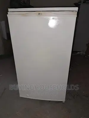 LG 100L Fridge