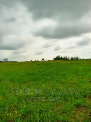 Prime Land on Sale , 10 Acres,Shorinke