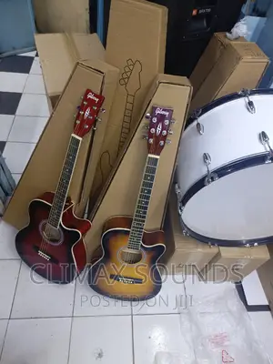 Semi Acoustic Gibsony 40" S