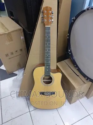 Fender Semi Acoustic Guitar Natural Coulor