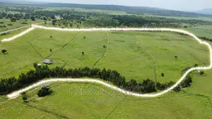 214 Acre Farmland in Majoreni