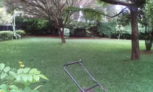 Lawn Mowing Services