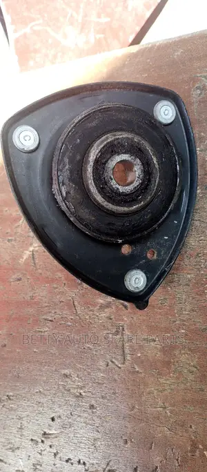 Toyota Probox Shock Mountain