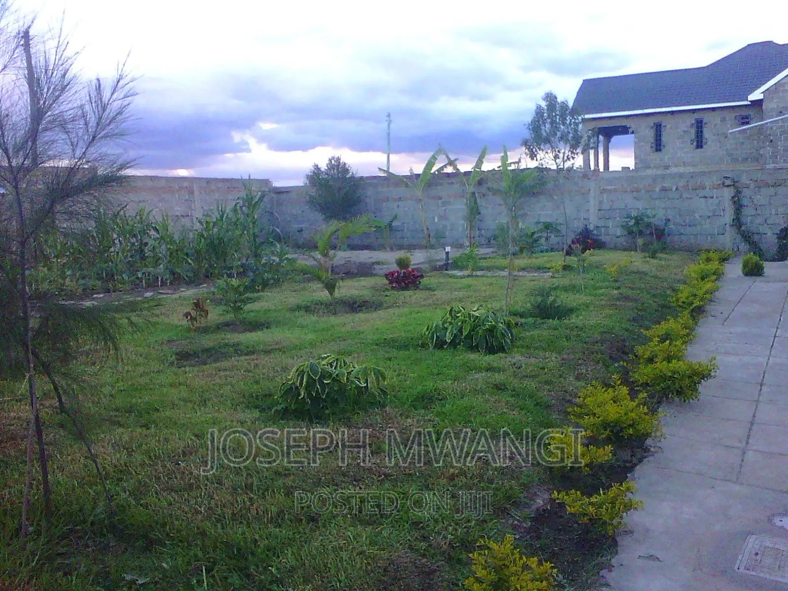 Lawn Mowing Services
