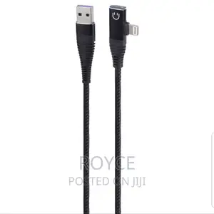 2 in 1 Adapter for Lightning Charging + Audio