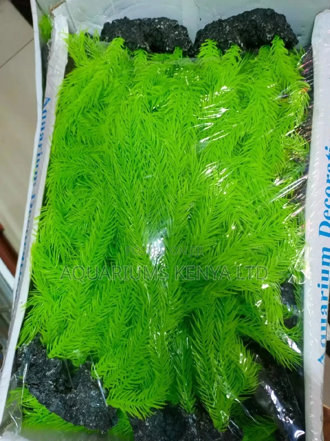 Green Forest Plants Aquarium
