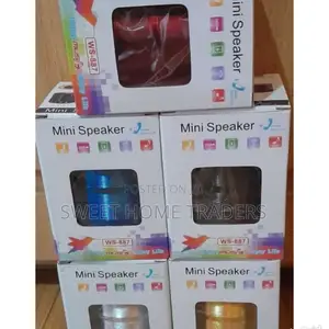 Wster Mini Bluetooth Speakers// With FM Radio