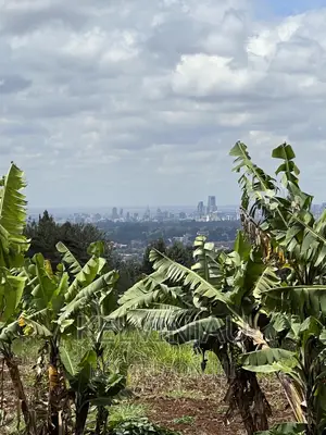 50x100 Plots for Sale in Kiambaa, Few KMS From Ruaka Town.