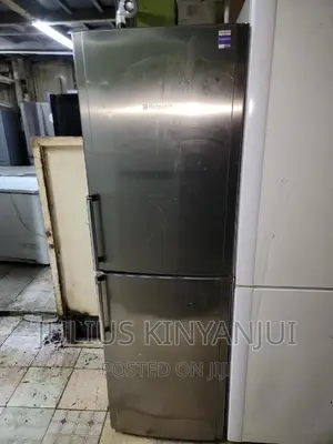 Bottom Freezer Fridge