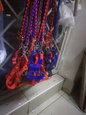 Dog Leash Dog Leash