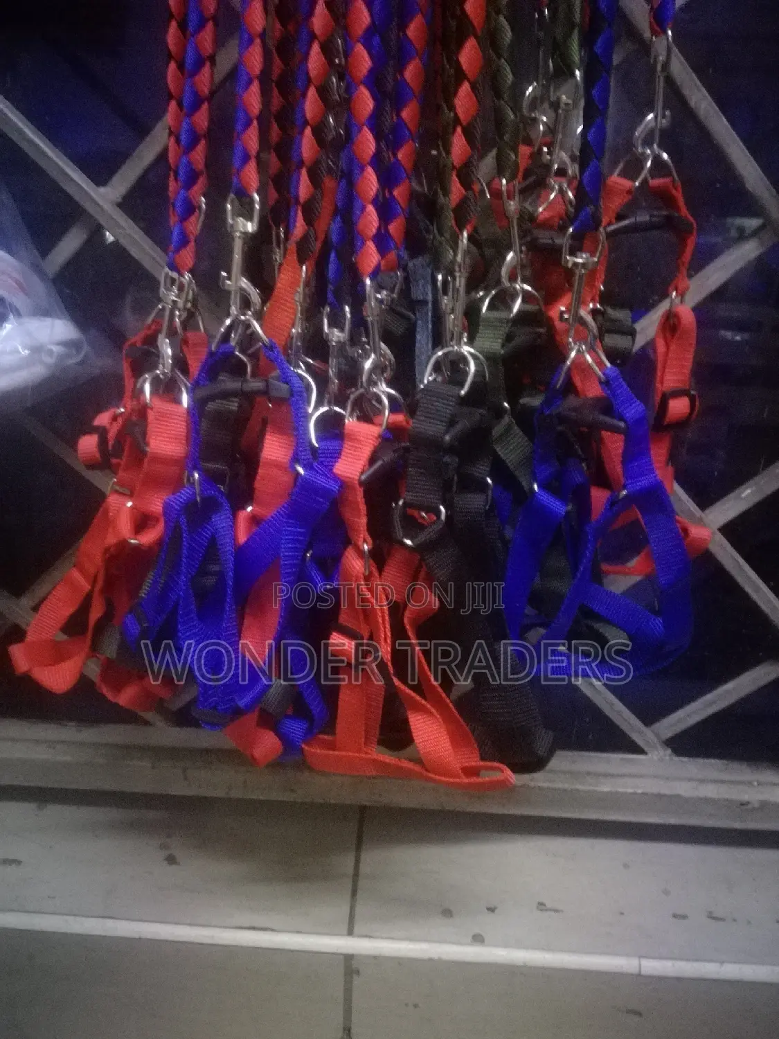 Dog Leash Dog Leash