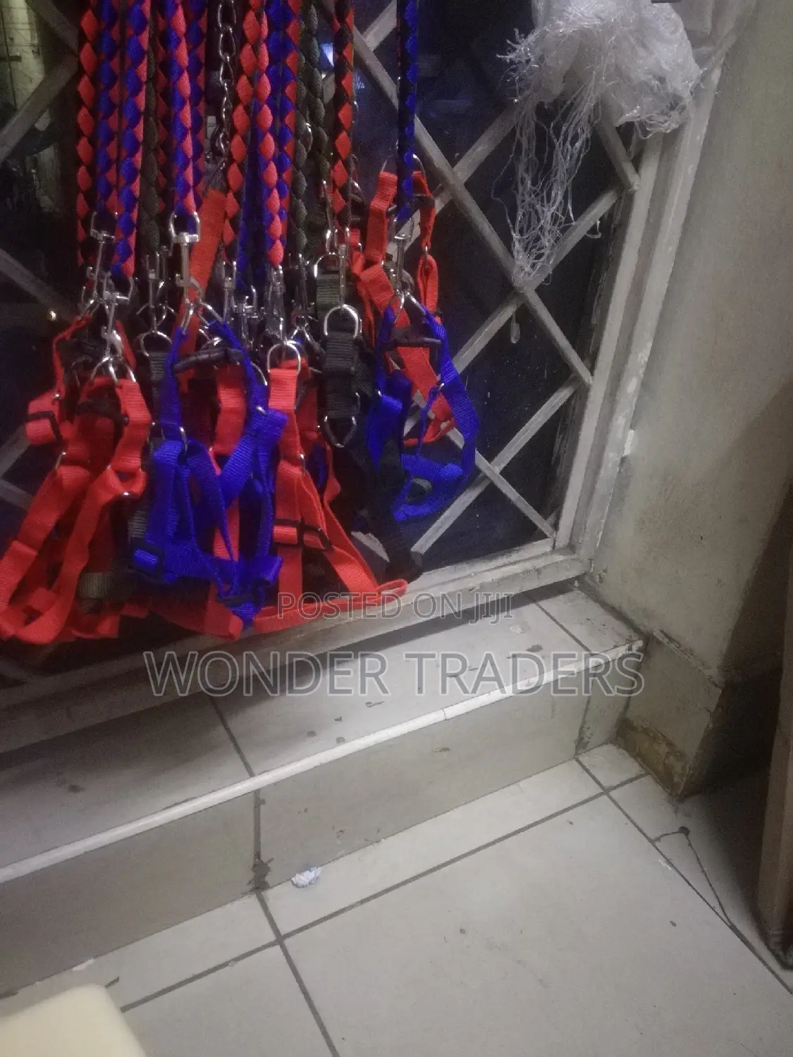 Dog Leash Dog Leash