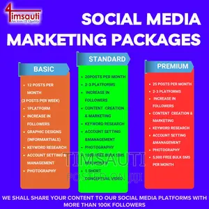 Professional Social Media Manager