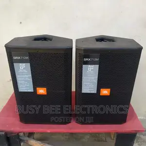 12 Inch JBL Monitors