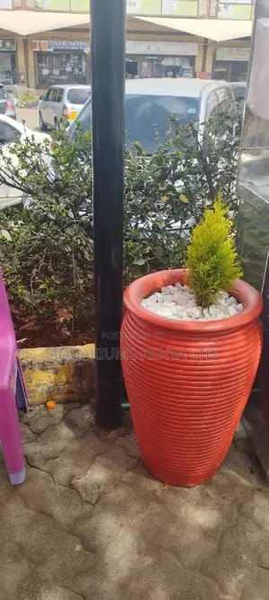 Jar Painted Pots With a Plant