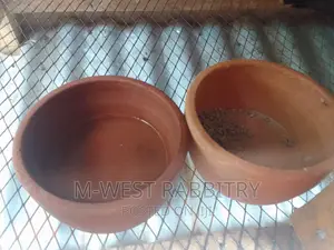 M-West Rabbitry
