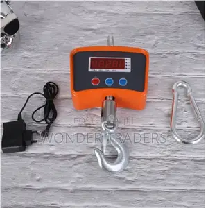 Premier 410 Crane Scale