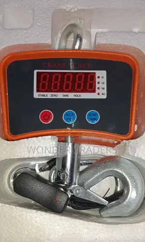 Premier 410 Crane Scale