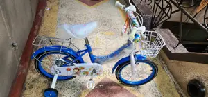 Baby Bike Blue Size 20