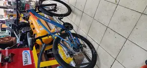 Adult Bicycle