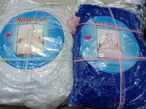 School Mosquito Net