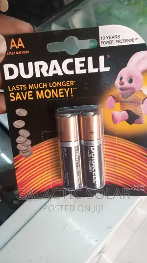 AA Alkaline Batteries