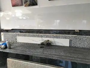 Pure White Granite