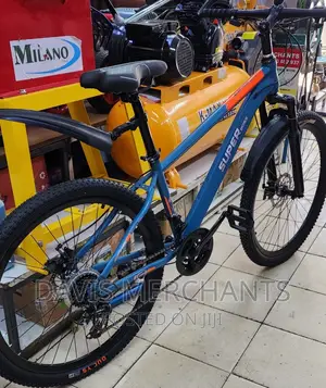 Best Quality Adult Bicycle