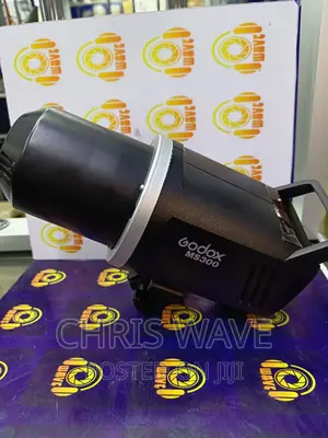 Ms 300 Strobe Light