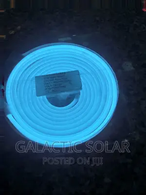 5mtrs Neon Light 12v