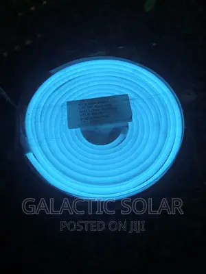 5mtrs Neon Light 12v