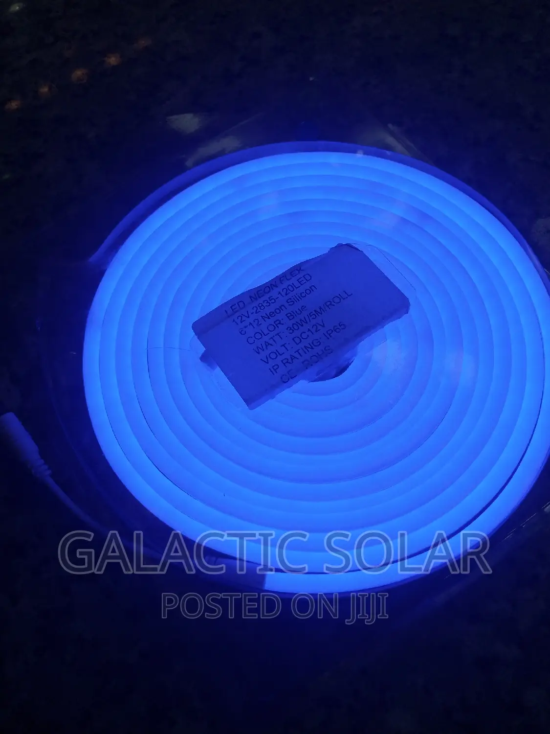 5mtrs Neon Light 12v
