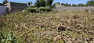 Reidentical Plot for Sale in Chepkanga Eldoret