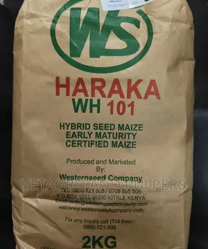 Haraka Hybrid Maize Seed Wh101