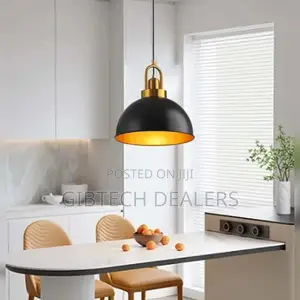 Modern Pendant Ceiling Light Witj Free Bulb
