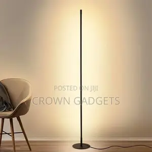 LED Floor Lamp