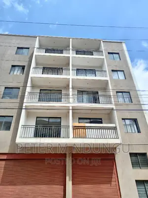 2bdrm Apartment in Maziwa for sale