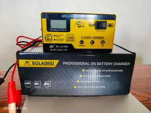 Micro Computer Battery Charger