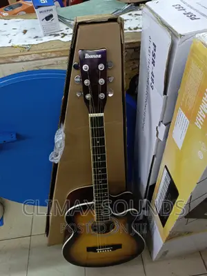Acoustic Guitar Ibanezs"