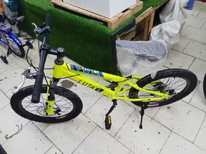 Mountain Bike Size 20
