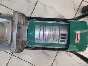 Shiyuan Brushless Surface Pump 2 Inch